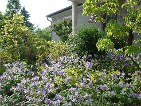 Hausgarten in Lonnerstadt