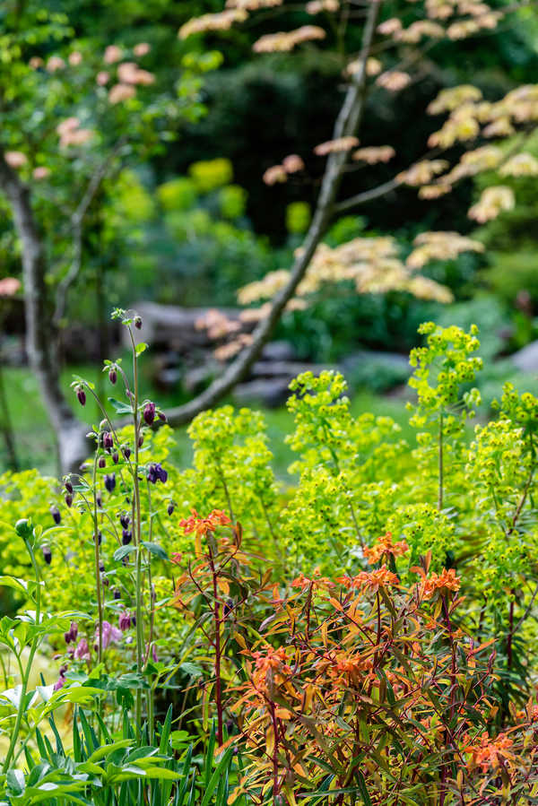 Privatgarten Ingolstadt