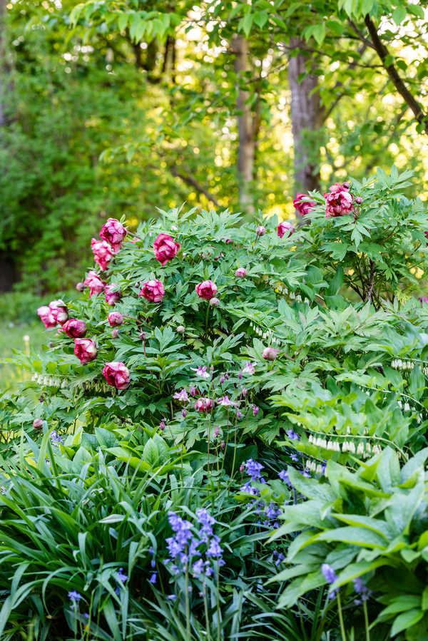 Privatgarten Ingolstadt