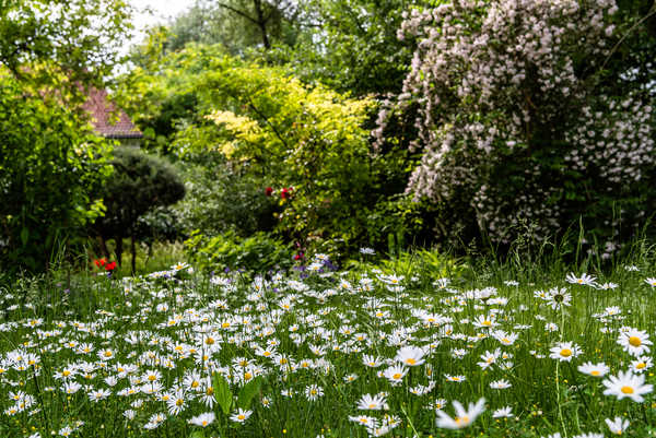 Privatgarten Ingolstadt