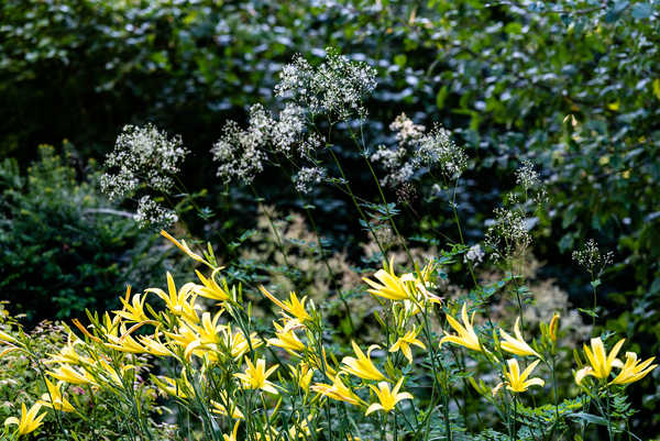 Privatgarten Ingolstadt