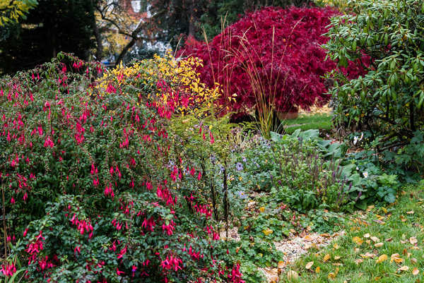 Privatgarten Vordertaunus