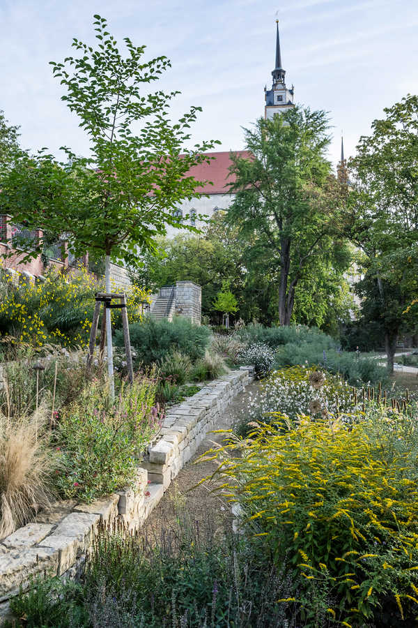 Schloßterrasse Torgau