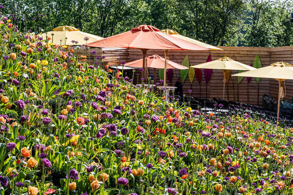 Frühsommer an der Bühne