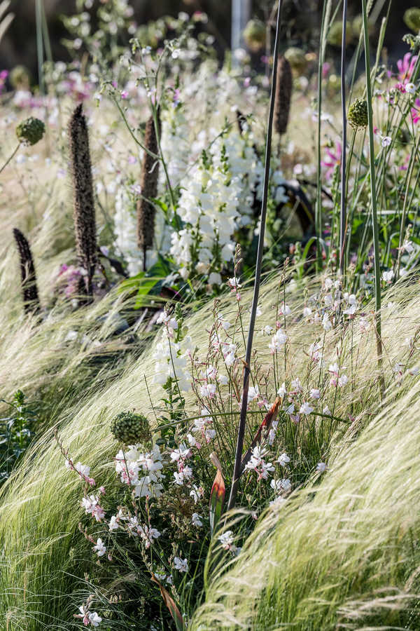 Sommer am Eingangsbereich