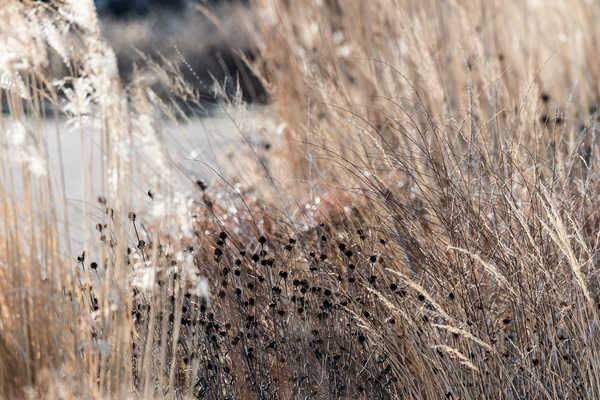 Mulde im Dezember