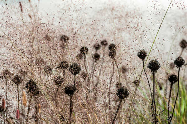 Mulde im Dezember