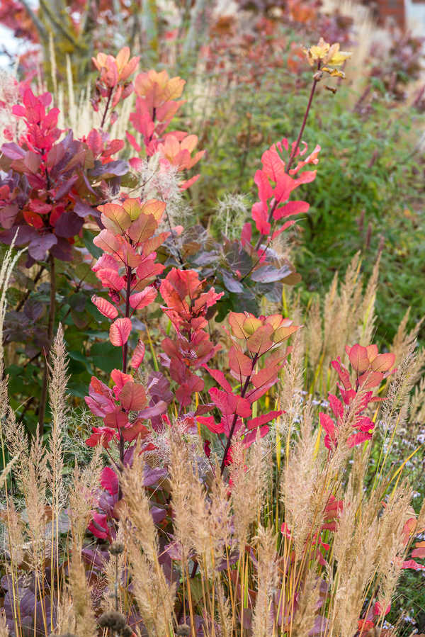 Herbst in der Mulde