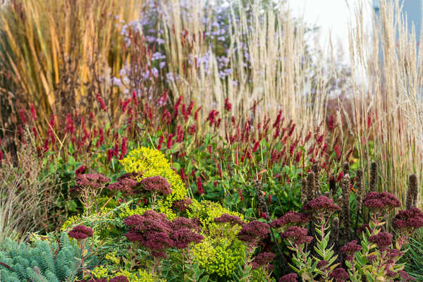 Herbst in der Mulde
