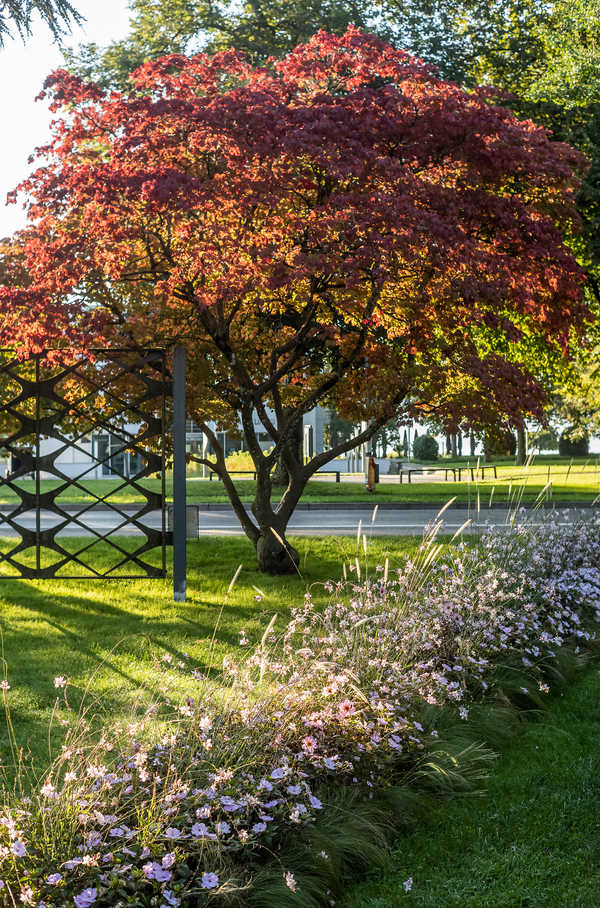 Lindau Stadtpark